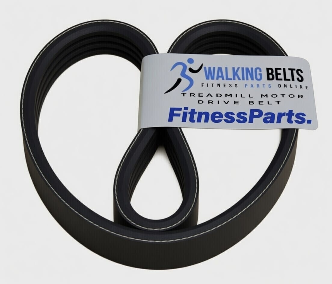 298025 Nordic Track APEX 6100XI Treadmill Motor Belt